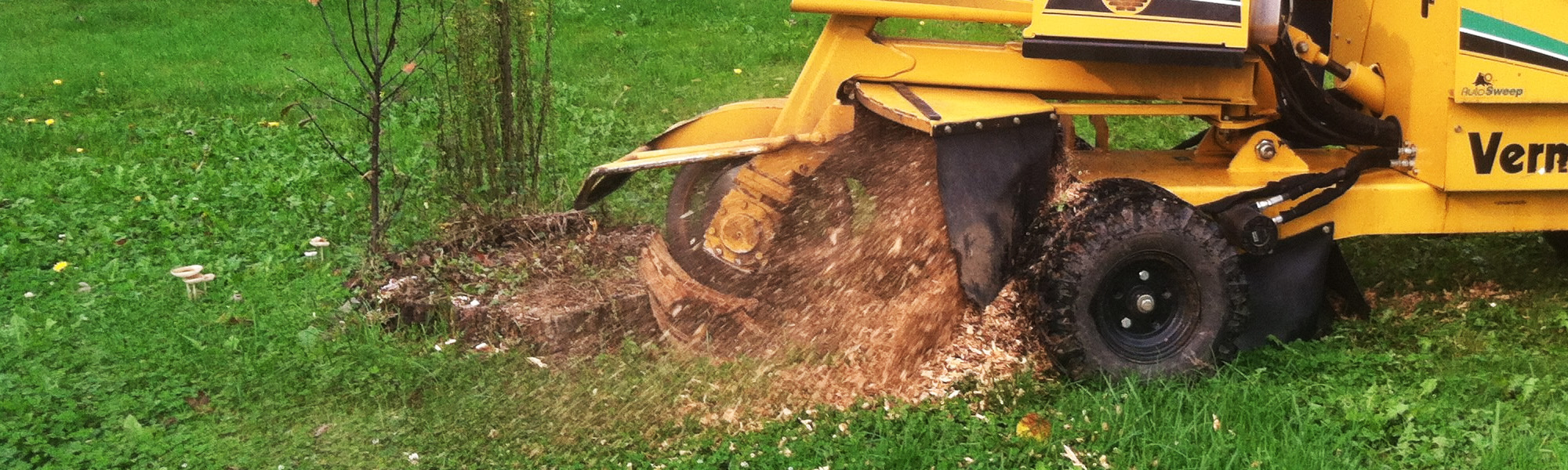 stump_grinding_slide